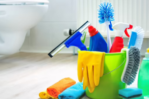 Messie Reinigung Willich
