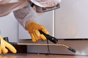 Messie Schädlingsbekämpfung Willich